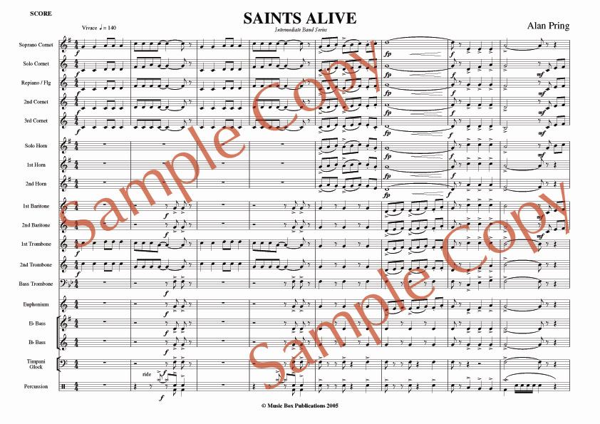 SaintsSample